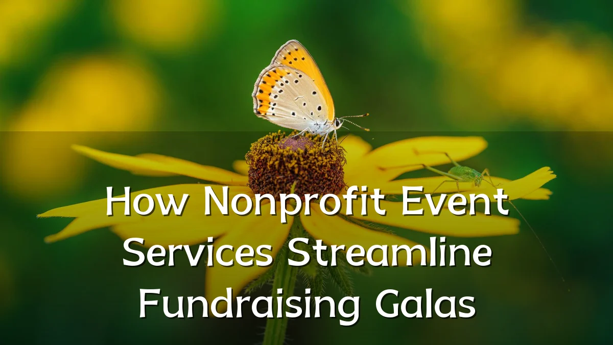How Nonprofit Event Services Streamline Fundraising Galas